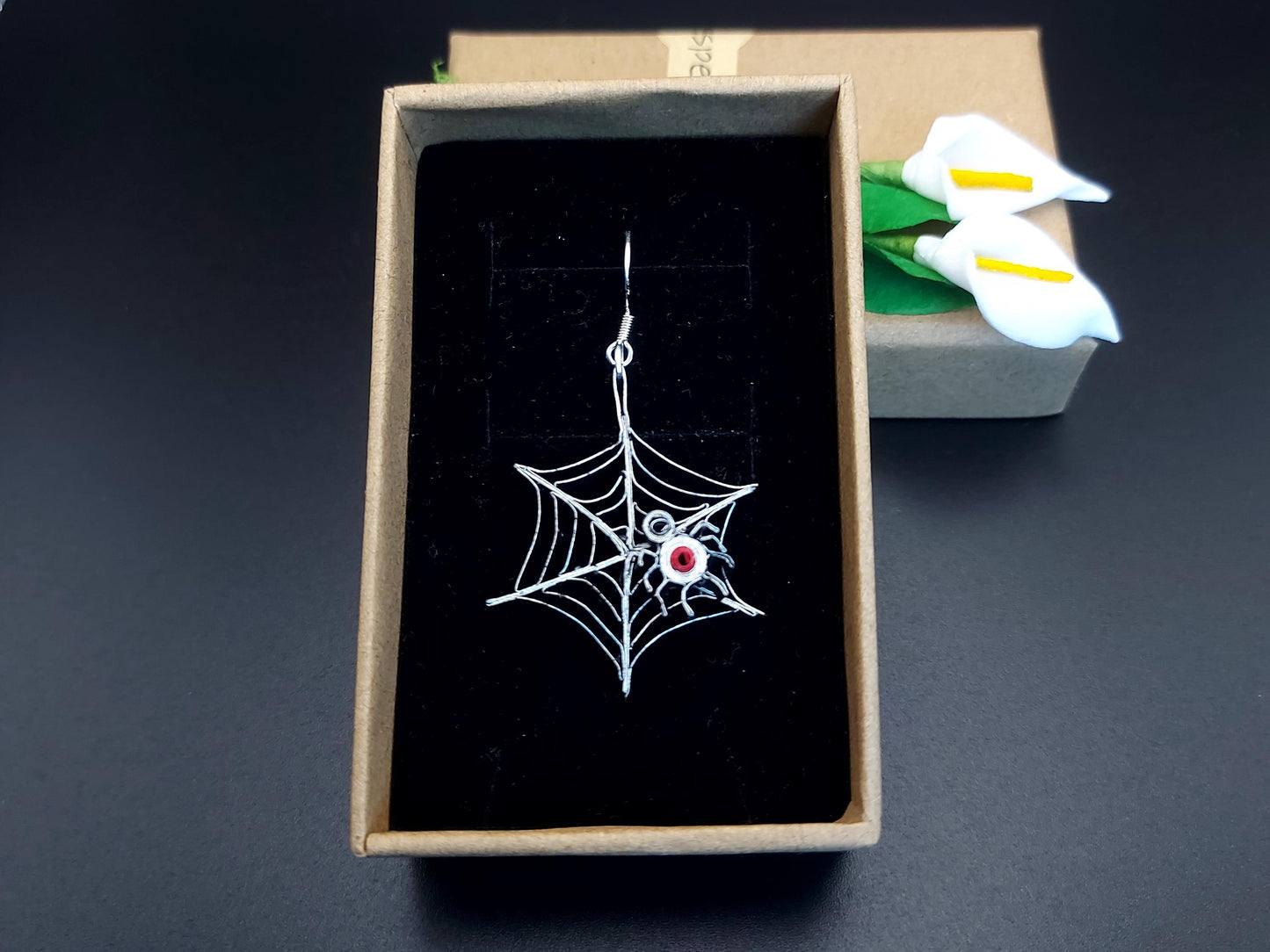Spider on the Web